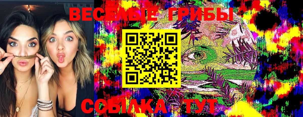 Орехово-Зуево  Галлюциногенные грибы GOLDEN TEACHER  Вход с VPN 