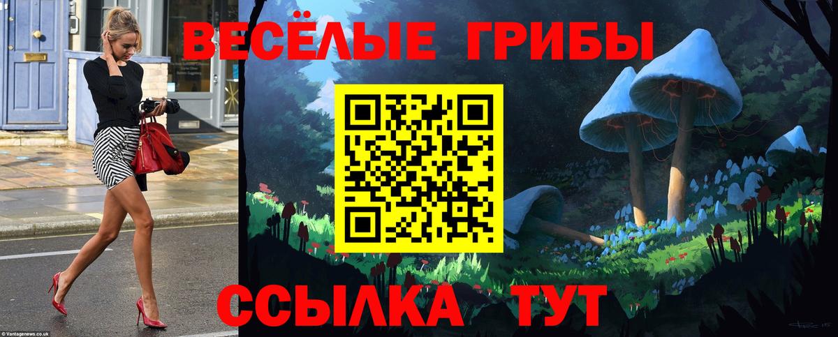 Галлюциногенные грибы Psilocybine cubensis Орехово-Зуево